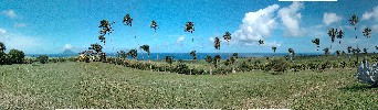 St. Kitts